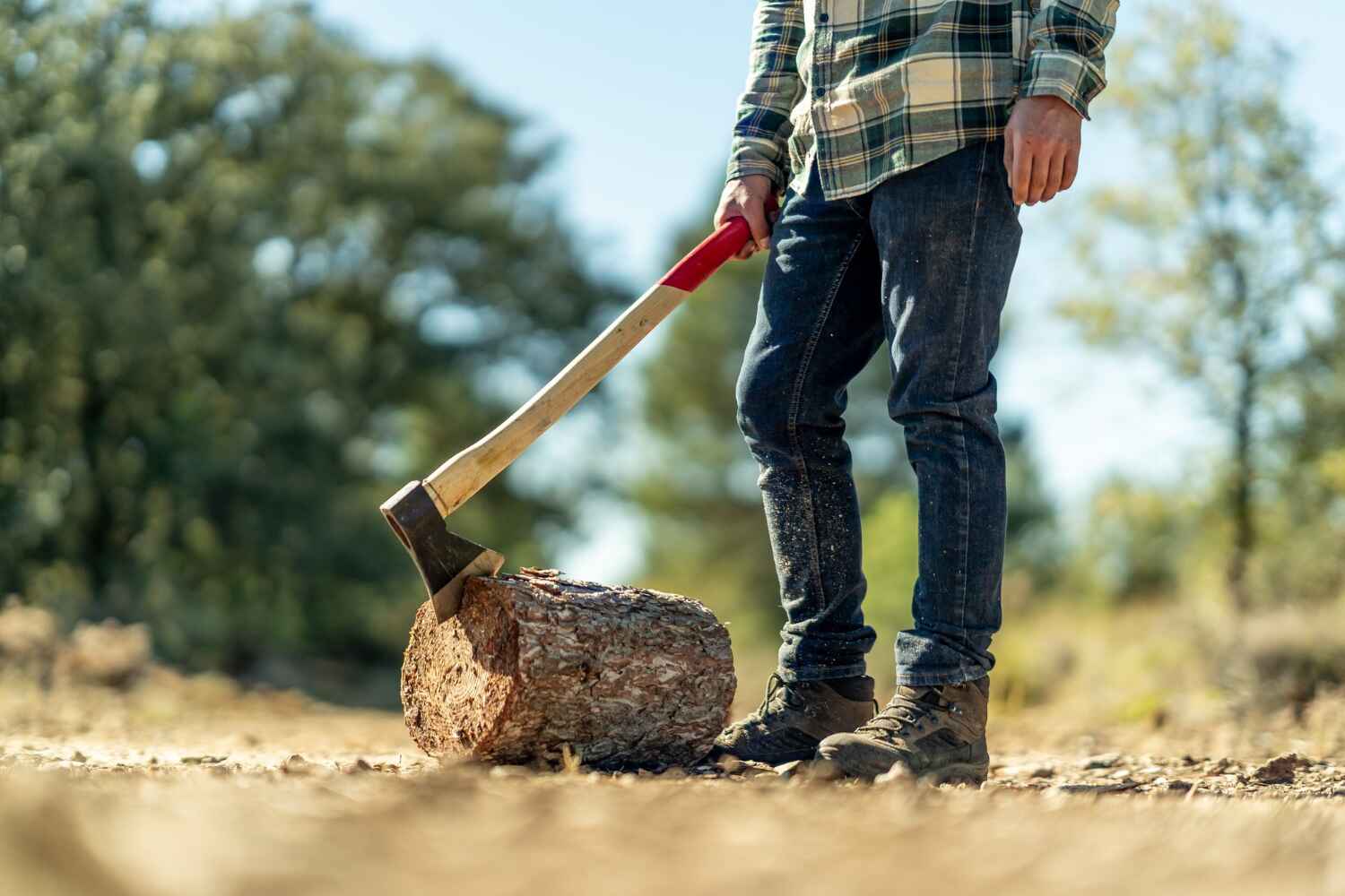 Caddo, OK Tree Service Company